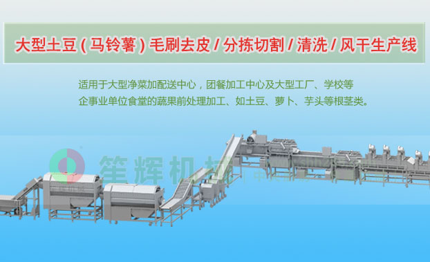 湾里连续式土豆去皮清洗切割风干生产线